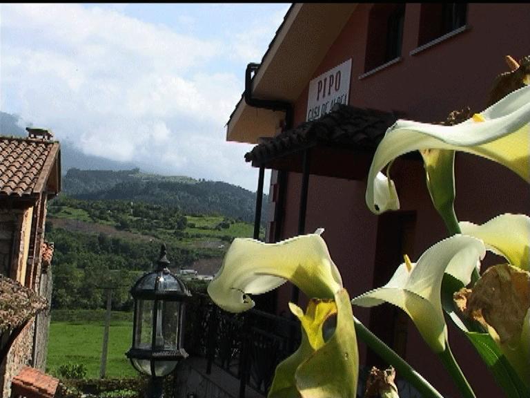 Casa Rural Casa Pipo Colunga Exterior photo